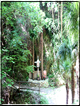 foto Santuario del Covolo